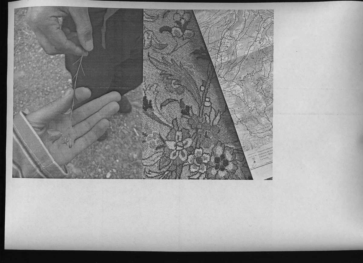 230923-fl-traces-path