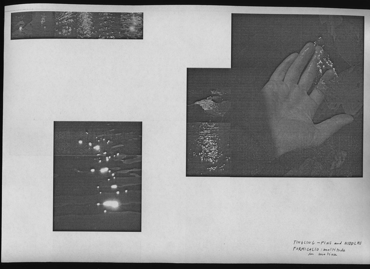 230208-fl-traces-series-of-tinglings